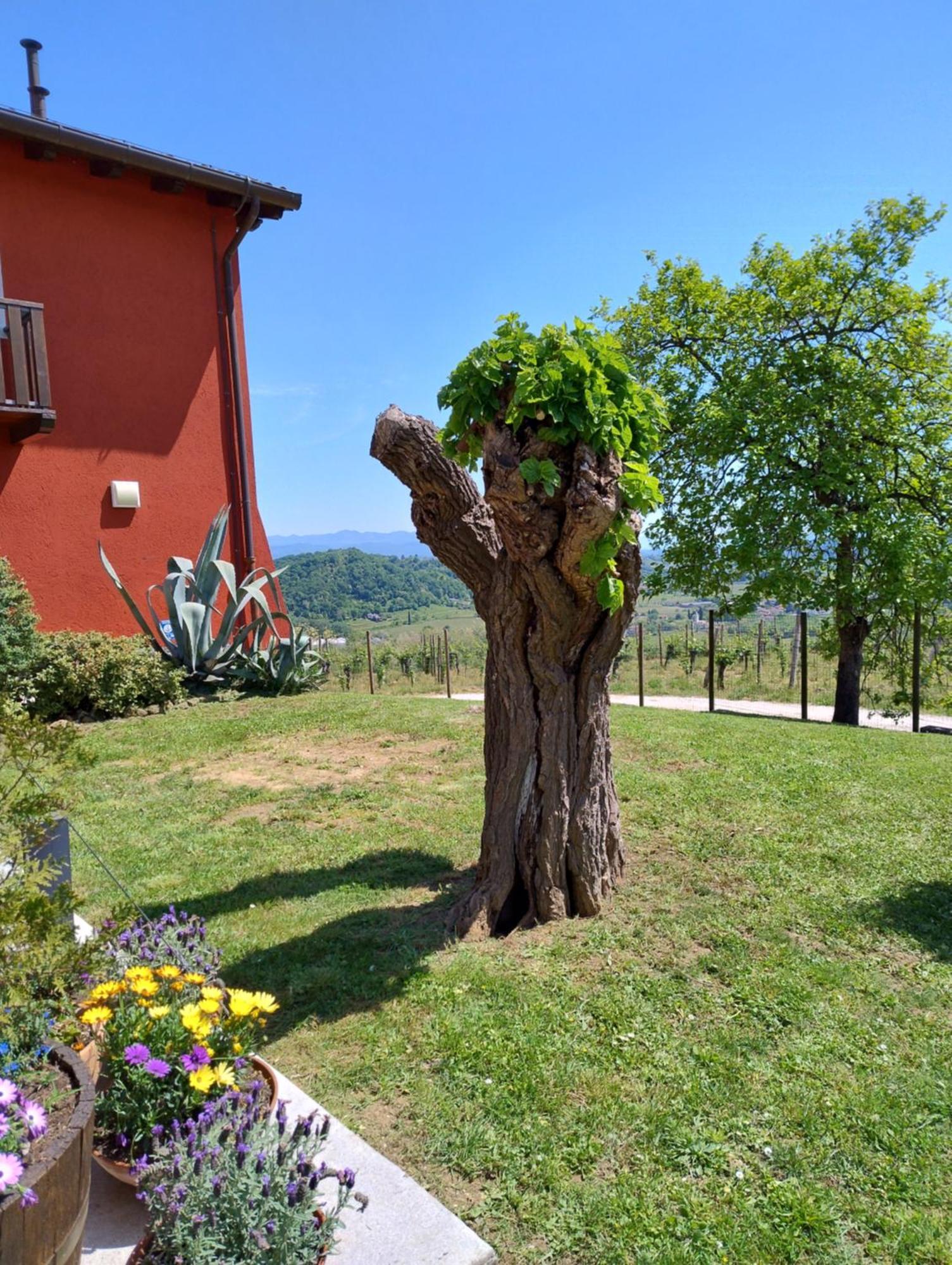 Le Badie Wine Resort Rosazzo Ngoại thất bức ảnh