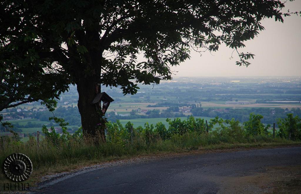 Le Badie Wine Resort Rosazzo Ngoại thất bức ảnh